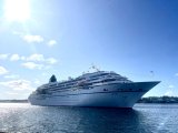 amadea.jpg