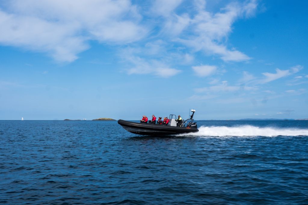 Viking Adventure RIB tur.