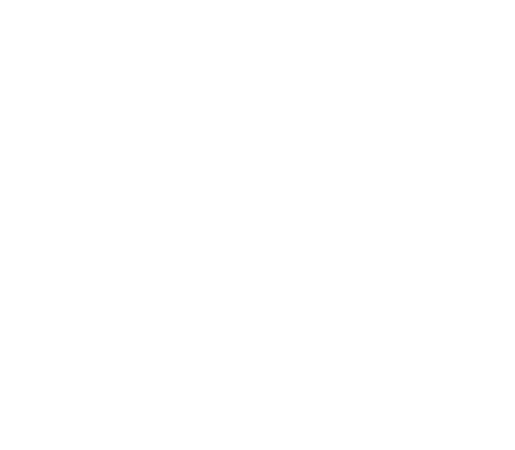 Viking Adventure